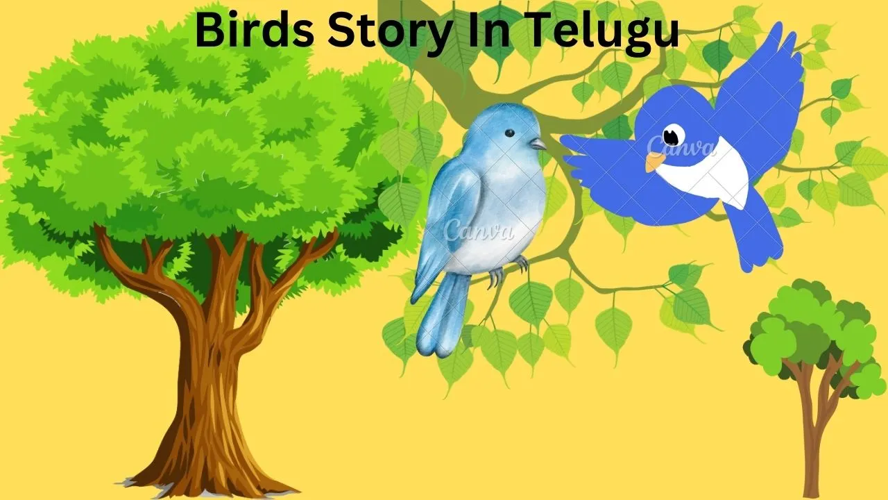 Two-birds-story-in-telugu